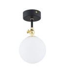 Bathroom ceiling lamps - Argon LATINA wall lamp 1 pł. 1x7W (max) matte black IP44 brass 4003 - product 1