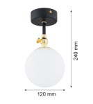 Bathroom ceiling lamps - Argon LATINA wall lamp 1 pł. 1x7W (max) matte black IP44 brass 4003 - product 2