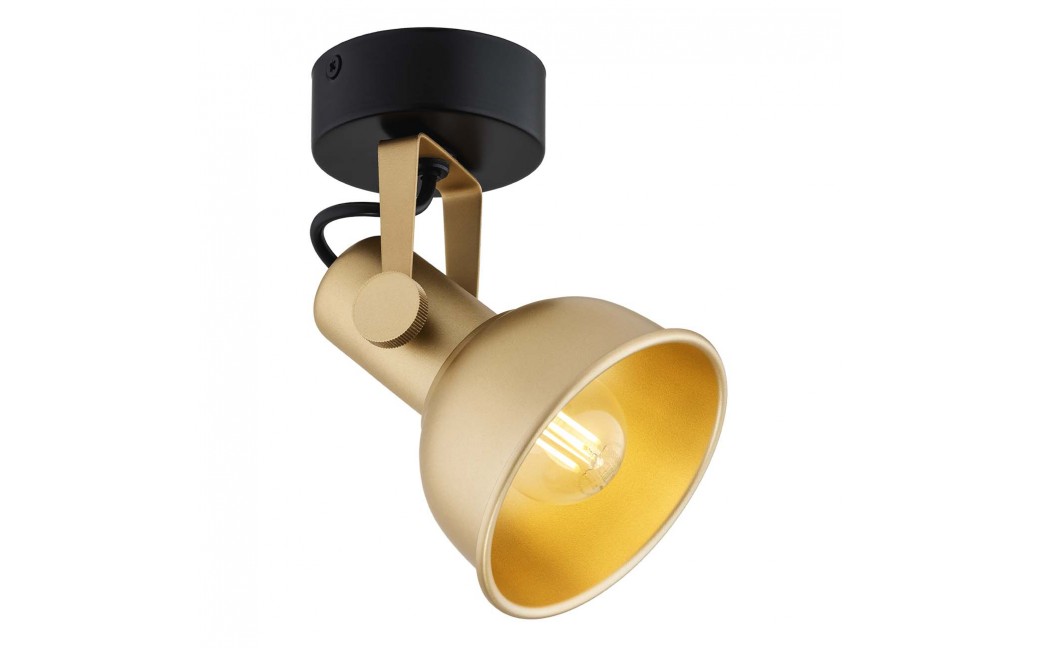 Argon LENORA kinkiet / plafon 1 pł. 1x7W (max) złoty czarny 8248