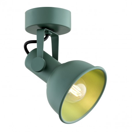 Argon LENORA kinkiet / plafon 1 pł. 1x7W (max) zielony 8299