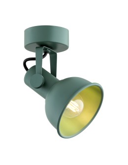 Argon LENORA wall lamp / plafond 1 pł. 1x7W (max) green 8299
