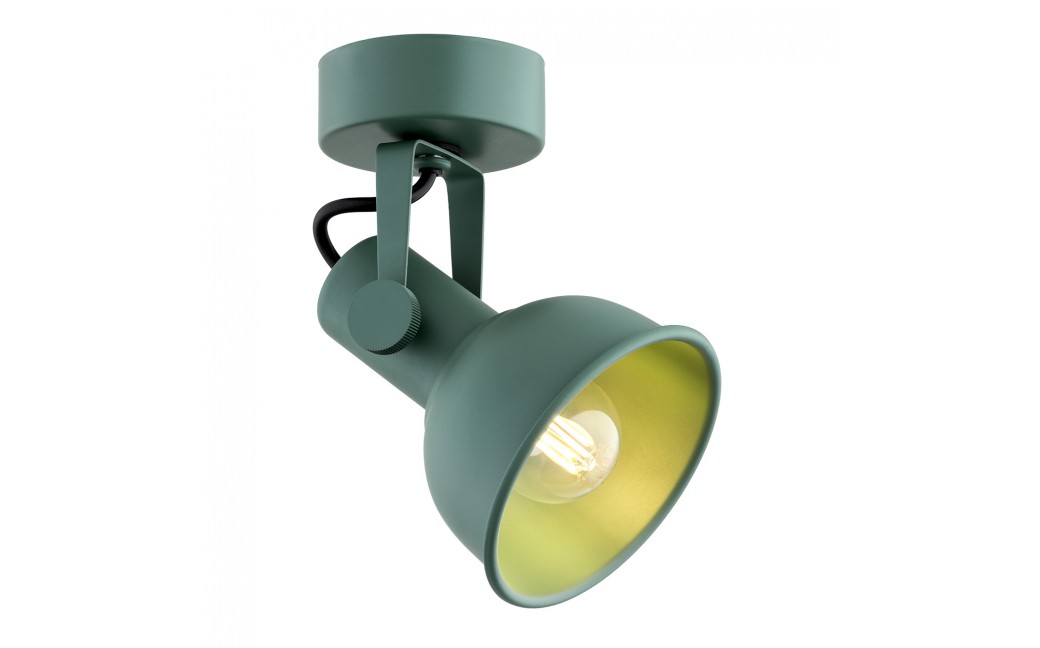 Argon LENORA kinkiet / plafon 1 pł. 1x7W (max) zielony 8299
