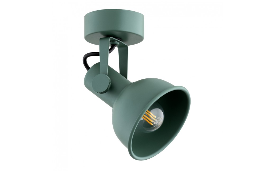 Argon LENORA kinkiet / plafon 1 pł. 1x7W (max) zielony 8299