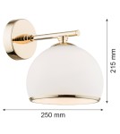 Argon MARBELLA kinkiet 1 pł. 1x15W (max) opal mat mosiądz 4255