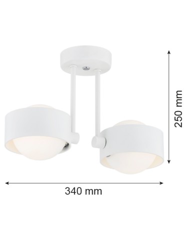 Argon MASSIMO PLUS 2 fl. pendant lamp 2x6W LED (max) opal mat IP44 white structure 7088 - product 2