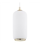 Single pendant lamps - Argon PALLADO 1 fl. pendant lamp 1x15W (max) opal matt brass 4993 - product 3