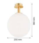 Ceiling lamps spheres - Argon PALOMA 8505 glass, brass - product 6