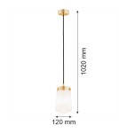 Single pendant lamps - Argon PASADENA 1 fl. pendant lamp 1x15W (max) white gloss brass 8004 - product 5