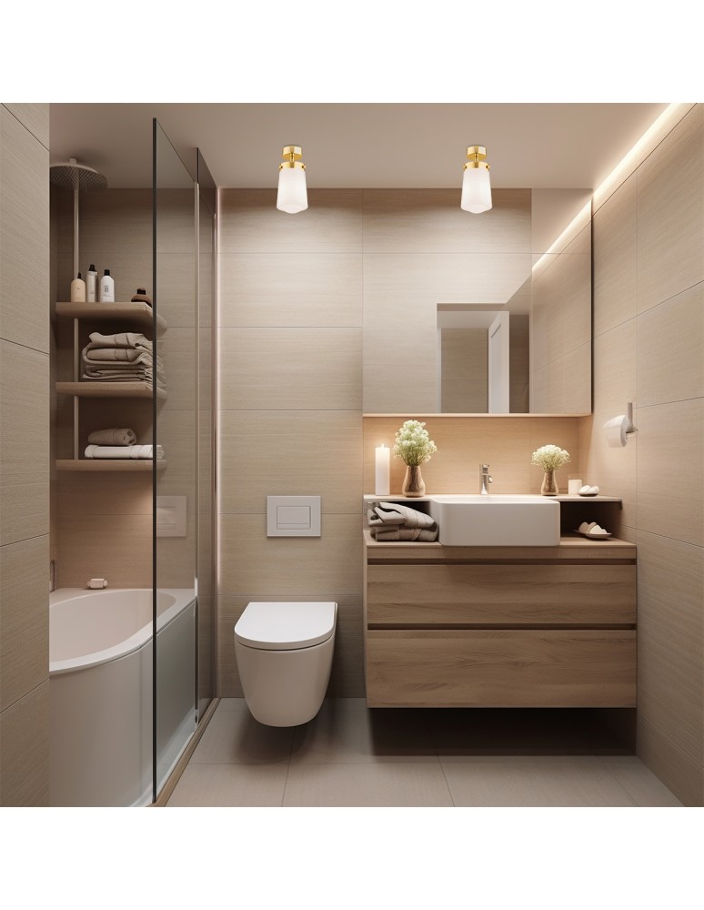 Bathroom ceiling lamps - Argon PASADENA plafond 1 fl. 1x15W (max) white gloss IP44 brass 8005 - product kolory-swiatla.pl 2