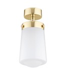 Bathroom ceiling lamps - Argon PASADENA plafond 1 fl. 1x15W (max) white gloss IP44 brass 8005 - product 3