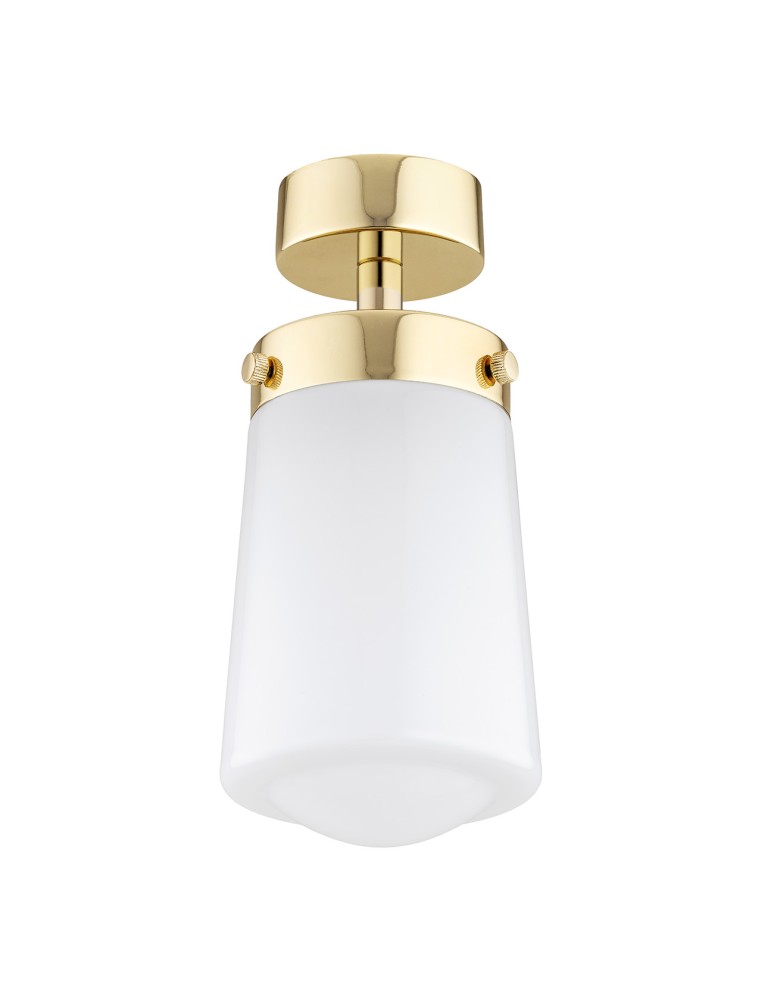 Bathroom ceiling lamps - Argon PASADENA plafond 1 fl. 1x15W (max) white gloss IP44 brass 8005 - product kolory-swiatla.pl 3