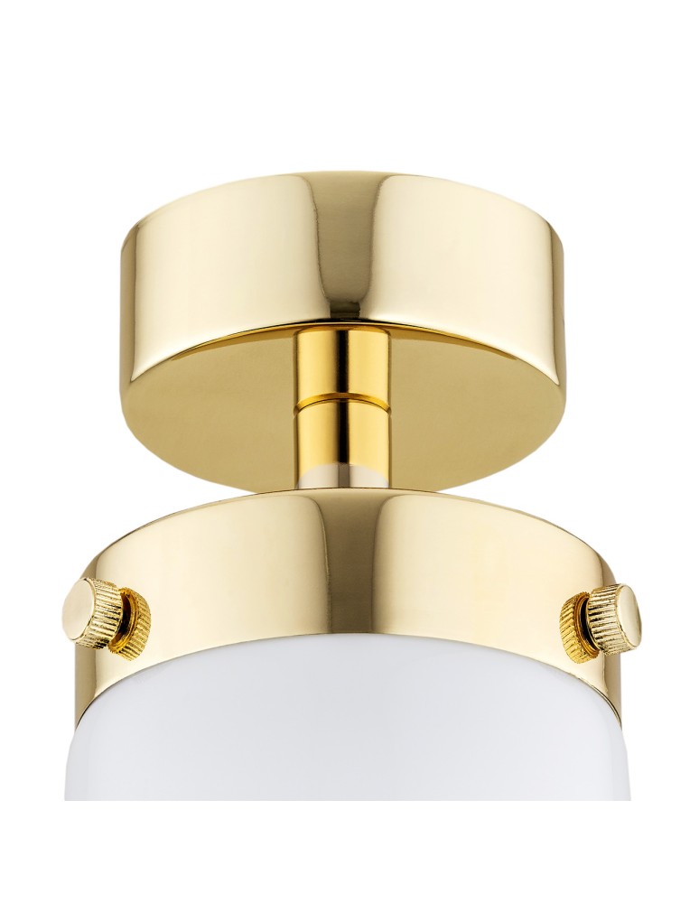 Bathroom ceiling lamps - Argon PASADENA plafond 1 fl. 1x15W (max) white gloss IP44 brass 8005 - product kolory-swiatla.pl 4
