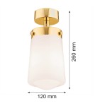 Bathroom ceiling lamps - Argon PASADENA plafond 1 fl. 1x15W (max) white gloss IP44 brass 8005 - product 5