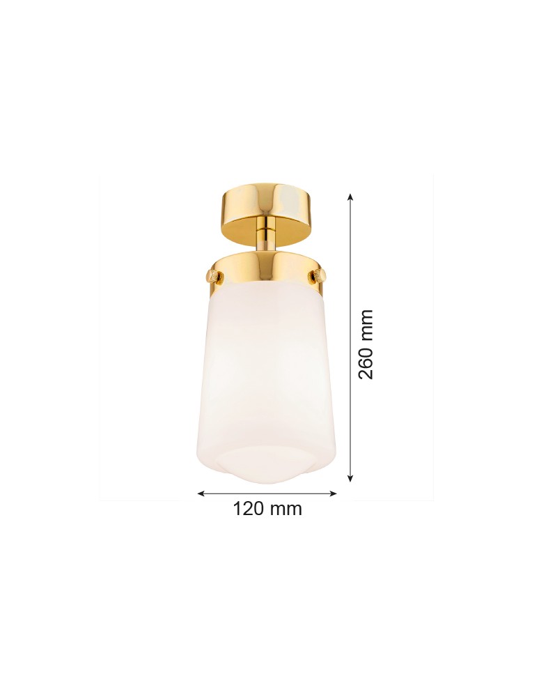 Bathroom ceiling lamps - Argon PASADENA plafond 1 fl. 1x15W (max) white gloss IP44 brass 8005 - product kolory-swiatla.pl 5