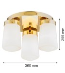Bathroom ceiling lamps - Argon PASADENA plafond 3 fl. 3x15W (max) gloss white IP44 brass 6165 - product 5