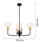 Argon RAVELLO żyrandol 3 pł. 3x7W (max) opal mat czarny struktura 6166