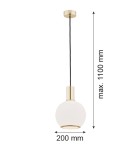 Single pendant lamps - Argon SAGUNTO 1 fl. pendant lamp 1x15W (max) opal mat brass 4357 - product 2