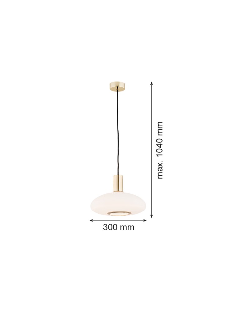Single pendant lamps - Argon SAGUNTO 1 fl. pendant lamp 1x15W (max) opal mat brass 4358 - product kolory-swiatla.pl 5