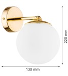 Bathroom wall lamps - Argon SATELITE PLUS wall lamp 1 pł. 1x15W (max) opal matt IP44 brass 4744 - product 11