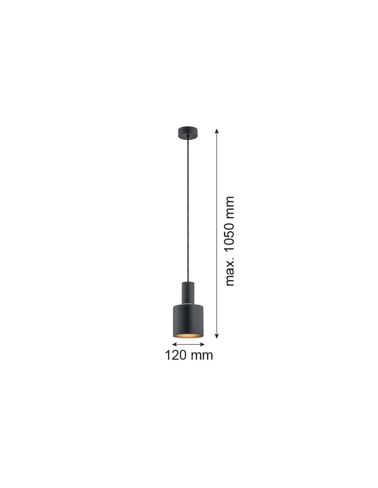 Single pendant lamps - Argon SINES pendant lamp 1 pł. 1x15W (max) black structure brass elements 4219 - product kolory-swiatla.pl 2