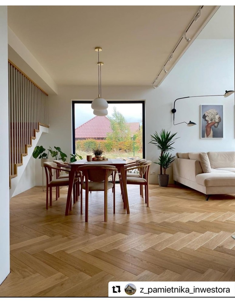 Argon TRINI lampa wisząca 1 pł. M 1x15W (max) opal mat elementy mosiądzowane 4316