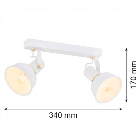 Argon TWIST plafon 2 pł. 2x7W (max) biały struktura elementy mosiądzowane 7036
