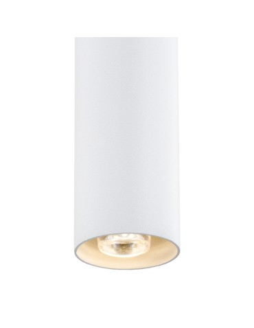 Argon ETNA PLUS lampa wisząca 1 pł. 1x6W (max) biały struktura 8066 - produkt 2