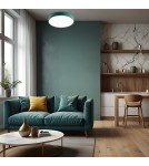 Round Plafonds - Argon TIAMO LED plafond 1x22W green 8335 - product 3