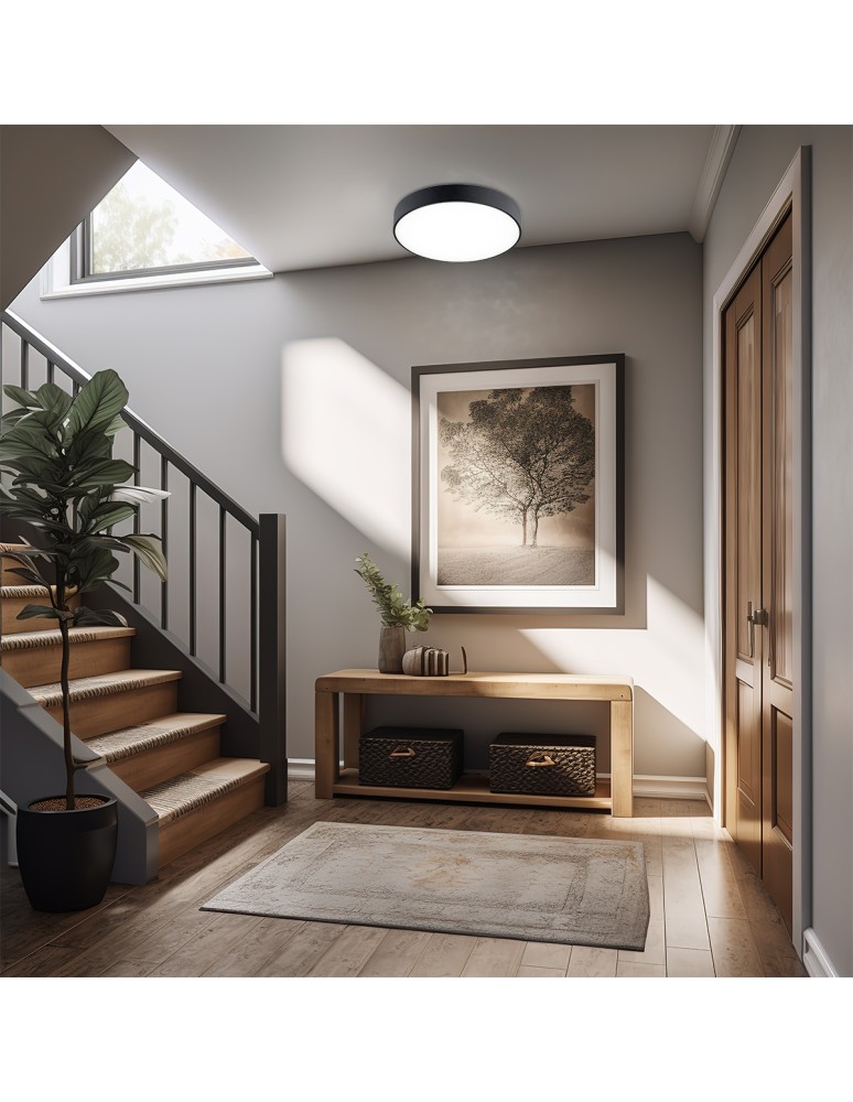 Round Plafonds - Argon TIAMO LED plafond 1x22W black 8348 - product kolory-swiatla.pl 3