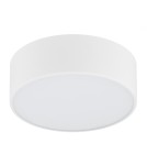 LED Plafonds - Argon DARLING LED plafond small led 1x22.5W white structure 3566 - product 3
