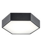 LED Plafonds - Argon ARIZONA plafond 1 fl. large 22.5W black structure 3823 - product 1