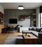 LED Plafonds - Argon ARIZONA plafond 1 fl. large 22.5W black structure 3823 - product 2