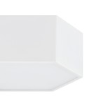Geometric plafonds - Argon ARIZONA plafond 1 fl. large 22.5W white structure 3827 - product 3