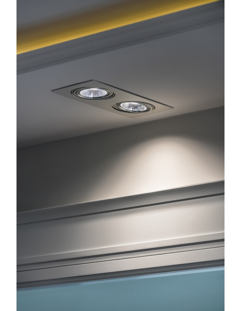 Square flush-mounted lamps - Argon OLIMP 2 fl. ceiling luminaire 2x6W LED (max) white structure 785 - product kolory-swiatla.pl 2