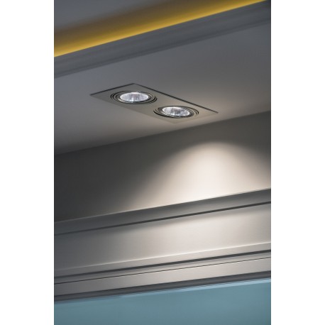 Argon OLIMP oprawa stropowa 2 pł. 2x6W LED (max) biały struktura 785