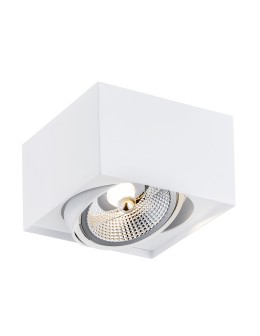 Argon RODOS PLUS plafon 1 pł. 1x12W (max) biały struktura 4753 BZ