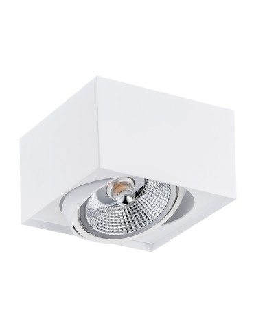 Argon RODOS PLUS plafond 1 fl. 1x12W (max) white structure 4753 BZ - product 2