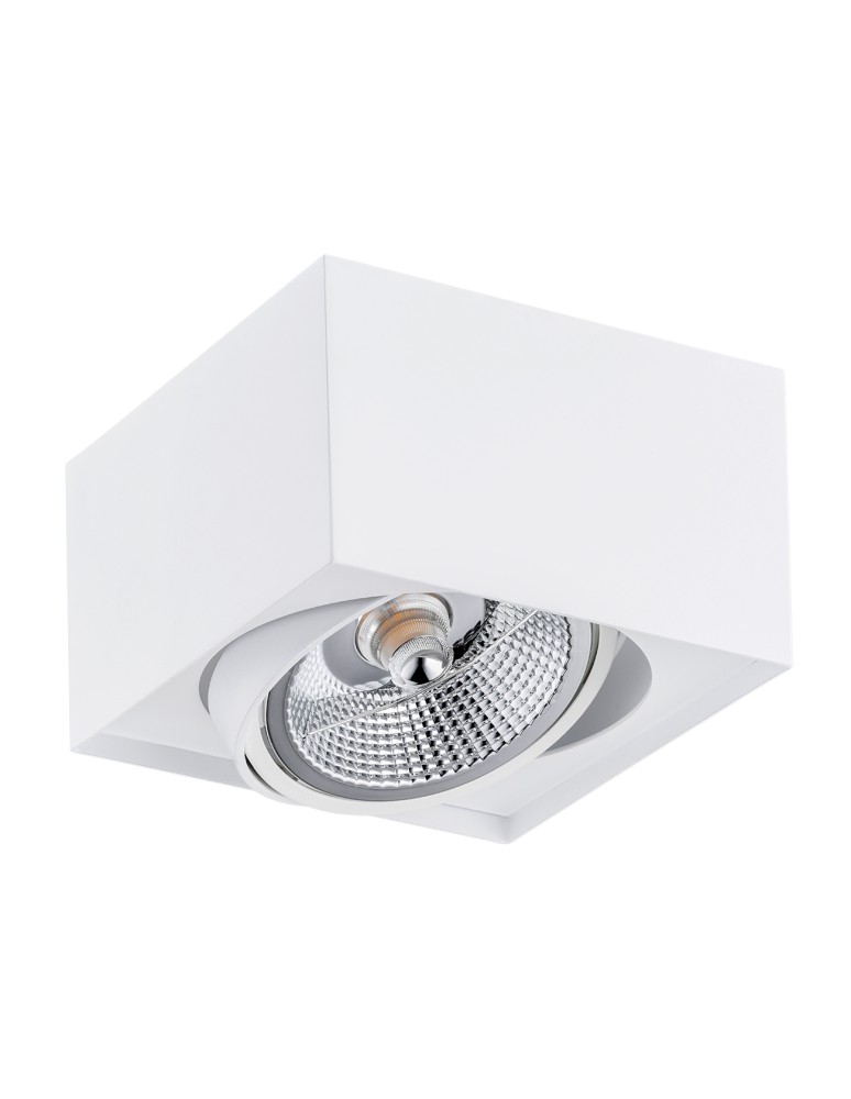 Ceiling spot lights - Argon RODOS PLUS plafond 1 fl. 1x12W (max) white structure 4753 BZ - product kolory-swiatla.pl 2