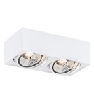 Ceiling spot lights - Argon RODOS PLUS plafond 2 fl. 2x12W (max) white structure 1048 BZ - product 1