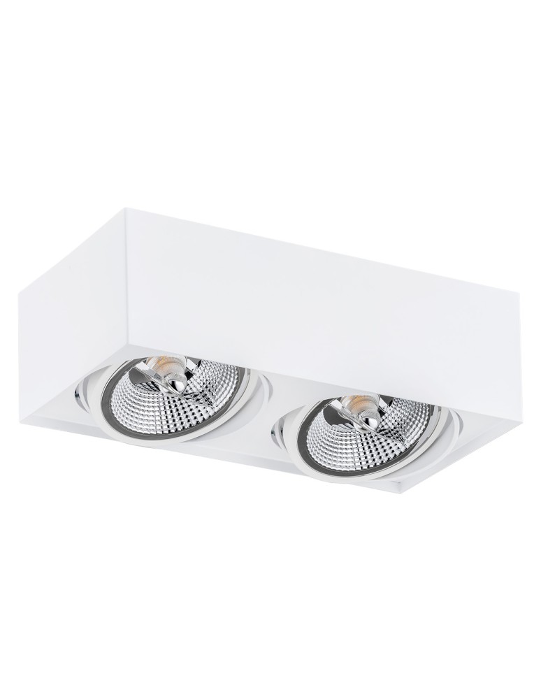 Ceiling spot lights - Argon RODOS PLUS plafond 2 fl. 2x12W (max) white structure 1048 BZ - product kolory-swiatla.pl 2