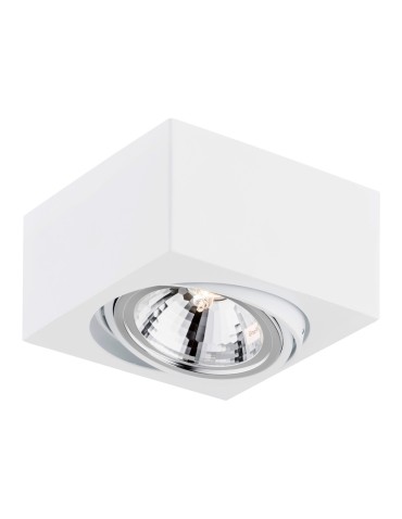 Argon RODOS plafond 1 fl. 1x6W LED (max) white structure 263