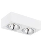 Ceiling spot lights - Argon RODOS plafond 2 fl. 2x6W LED (max) white structure 581 - product 1