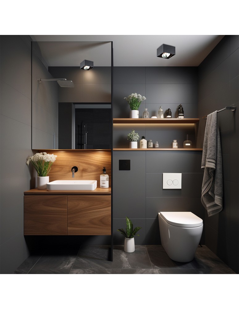 Ceiling spot lights - Argon RODOS plafond 1 fl. 1x6W LED (max) black structure 346 - product kolory-swiatla.pl 3