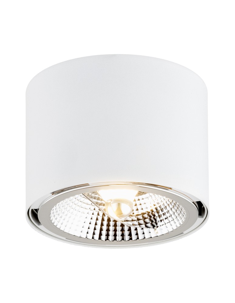 Round ceiling luminaires - Argon CLEVLAND plafond 1 fl. 1x12W (max) white structure 4692 BZ - product kolory-swiatla.pl 1
