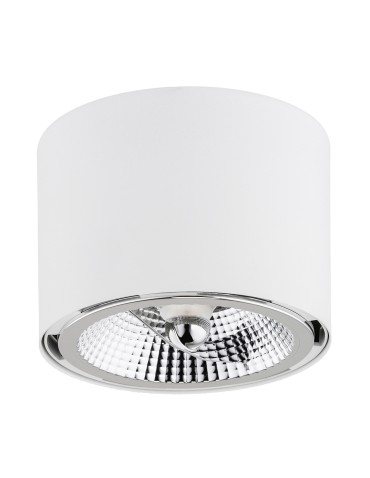 Argon CLEVLAND plafond 1 fl. 1x12W (max) white structure 4692 BZ - product 2