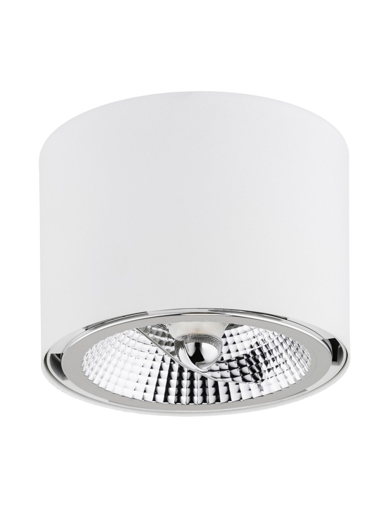 Round ceiling luminaires - Argon CLEVLAND plafond 1 fl. 1x12W (max) white structure 4692 BZ - product kolory-swiatla.pl 2