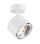 Ceiling spotlights - Argon CLEVLAND spotlight 1 pł. 1x12W (max) white structure 4702 BZ - product 1