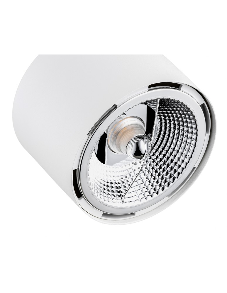 Ceiling spotlights - Argon CLEVLAND spotlight 1 pł. 1x12W (max) white structure 4702 BZ - product kolory-swiatla.pl 2
