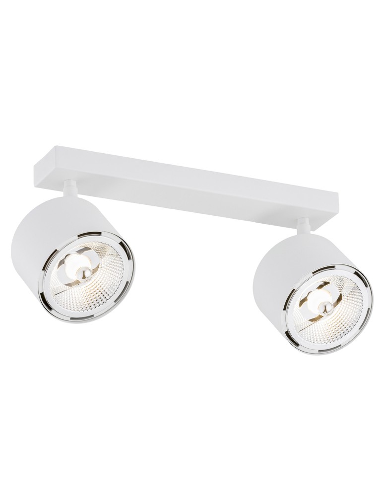 Adjustable ceiling lamps - spots - Argon CLEVLAND plafond 2 fl. 2x12W (max) white structure 1031 BZ - product kolory-swiatla.pl 1
