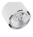 Adjustable ceiling lamps - spots - Argon CLEVLAND plafond 2 fl. 2x12W (max) white structure 1031 BZ - product 5